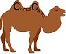 CamelCase